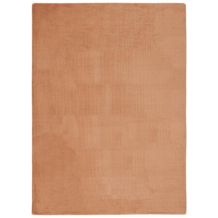 Safavieh 6 x 9 ft. Faux Rabbit Fur Contemporary Power Loomed Rectangle Rug, Brown FRF500T-6